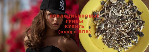 Альфа ПВП Майский
