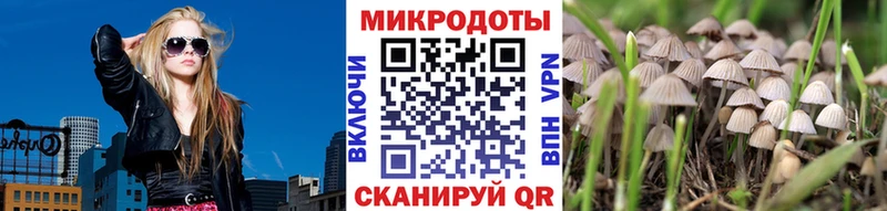 OMG ONION  Элиста  Псилоцибиновые грибы мухоморы 