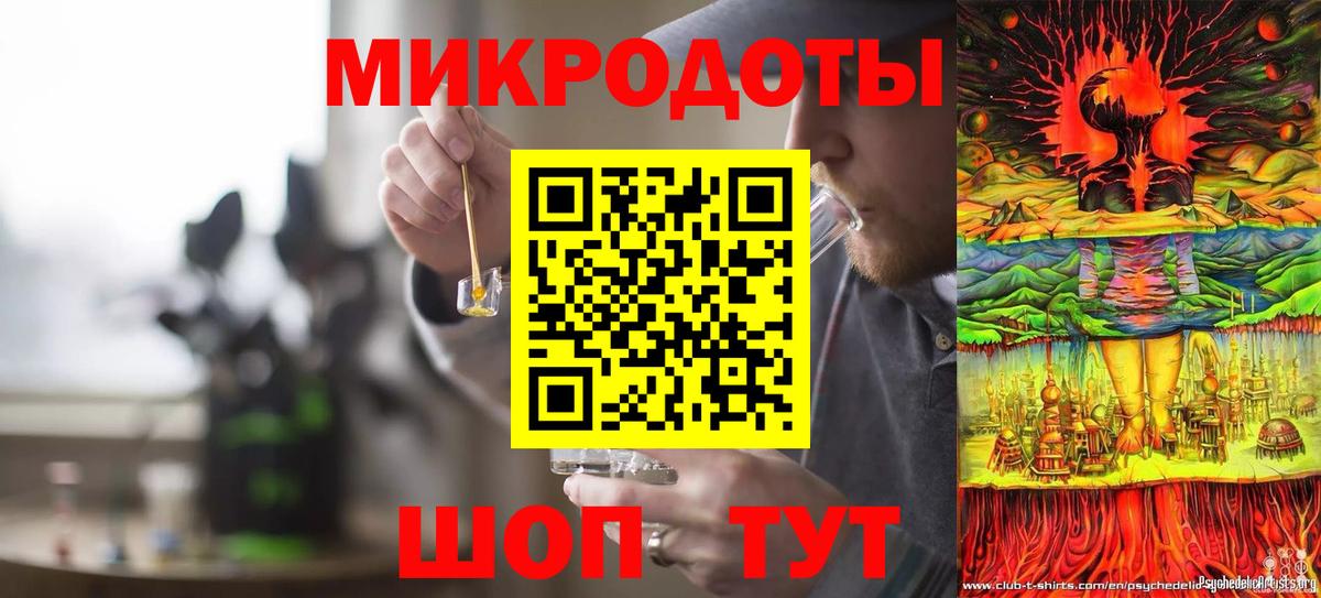 Галлюциногенные грибы Magic Shrooms  купить закладку  Элиста  Вход с VPN 